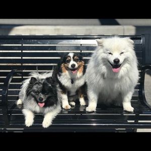 Meet your Posher, Jennifer